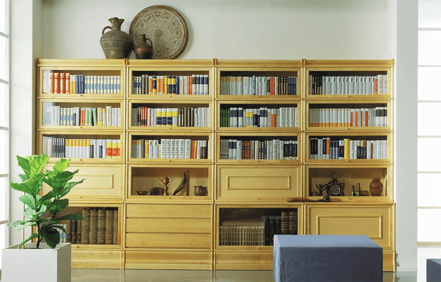 Шкаф для книг выглядит невероятно стильно